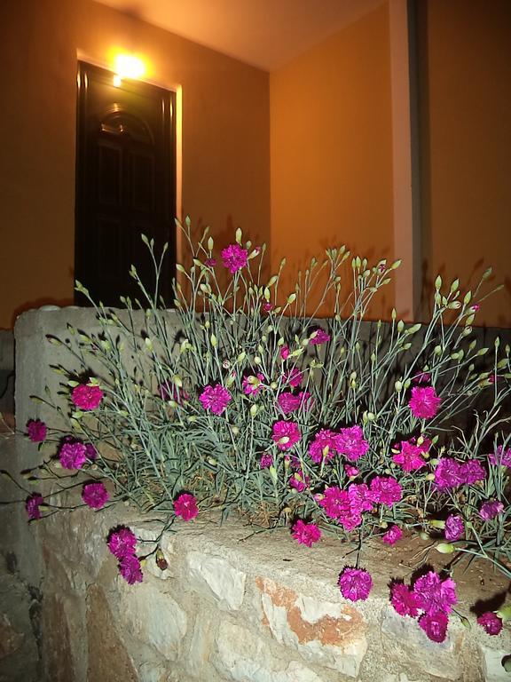 Guest House Solive Химара Экстерьер фото
